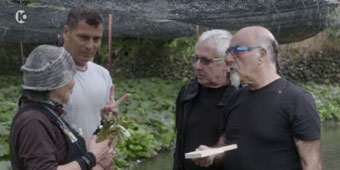 המסע המופלא בעקבות הטונה ביפן