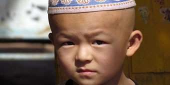 החיים החדשים של דרך המשי