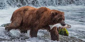 אלסקה - מלכת הצפון