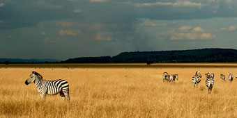 5 דברים שכדאי לדעת על טנזניה