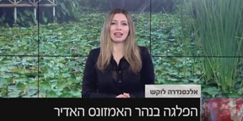 שייט על האמזונס: רענן בן בסט באולפן YNET