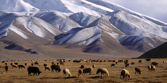 טיול לקירגיזסטן - בואו לגלות את המדינה הקסומה על דרך המשי