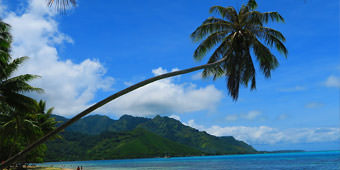 חמישה איים שאסור לכם לפספס בטהיטי מאת אביחי בן צור