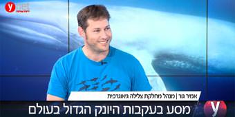אמיר גור מתארח באולפן YNET ומספר על המשלחת בעקבות הלוויתן הכחול