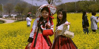 פסטיבלים בדרום קוריאה