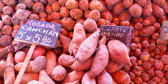 לטעות את התרבות המקומית - שימוש בגידולים מקומיים