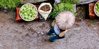 סיורים מקומיים - להכיר את העיר האמיתית