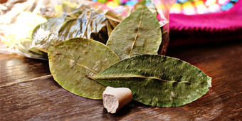 המדריך דן גזית מתראיין ברדיו 103 FM על תעשיית הקוקאין בדרום אמריקה