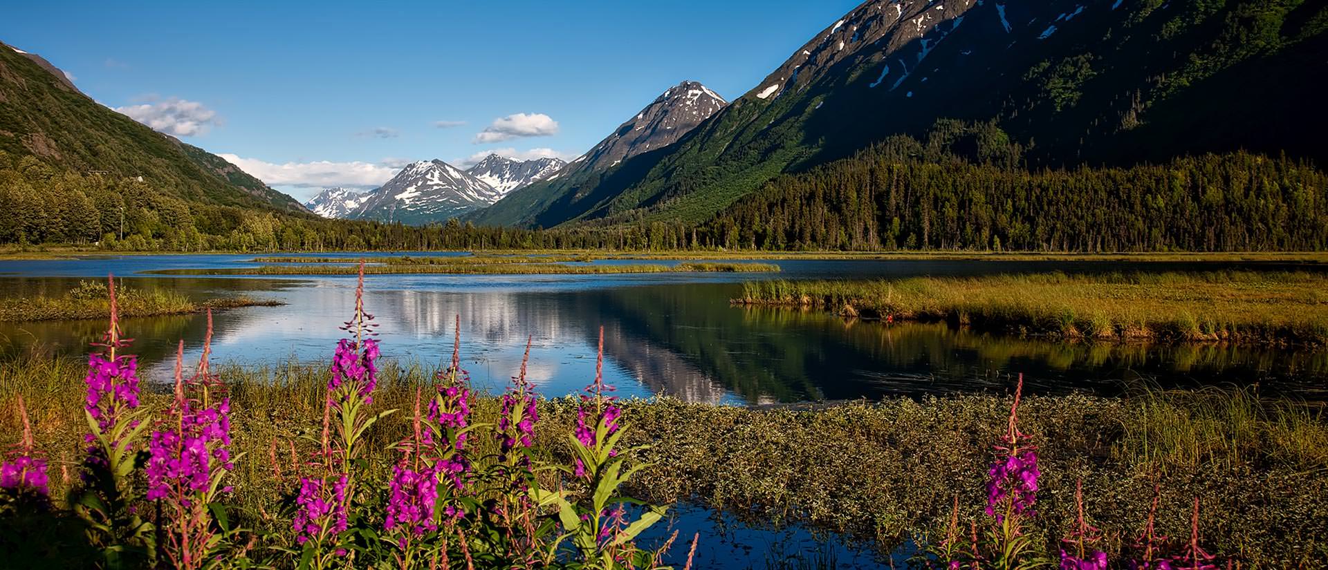 מידע שימושי למטייל באלסקה