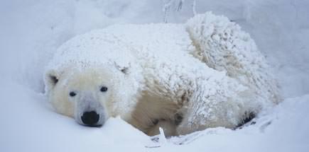 עשרה דברים מעניינים שכדאי לדעת על קנדה