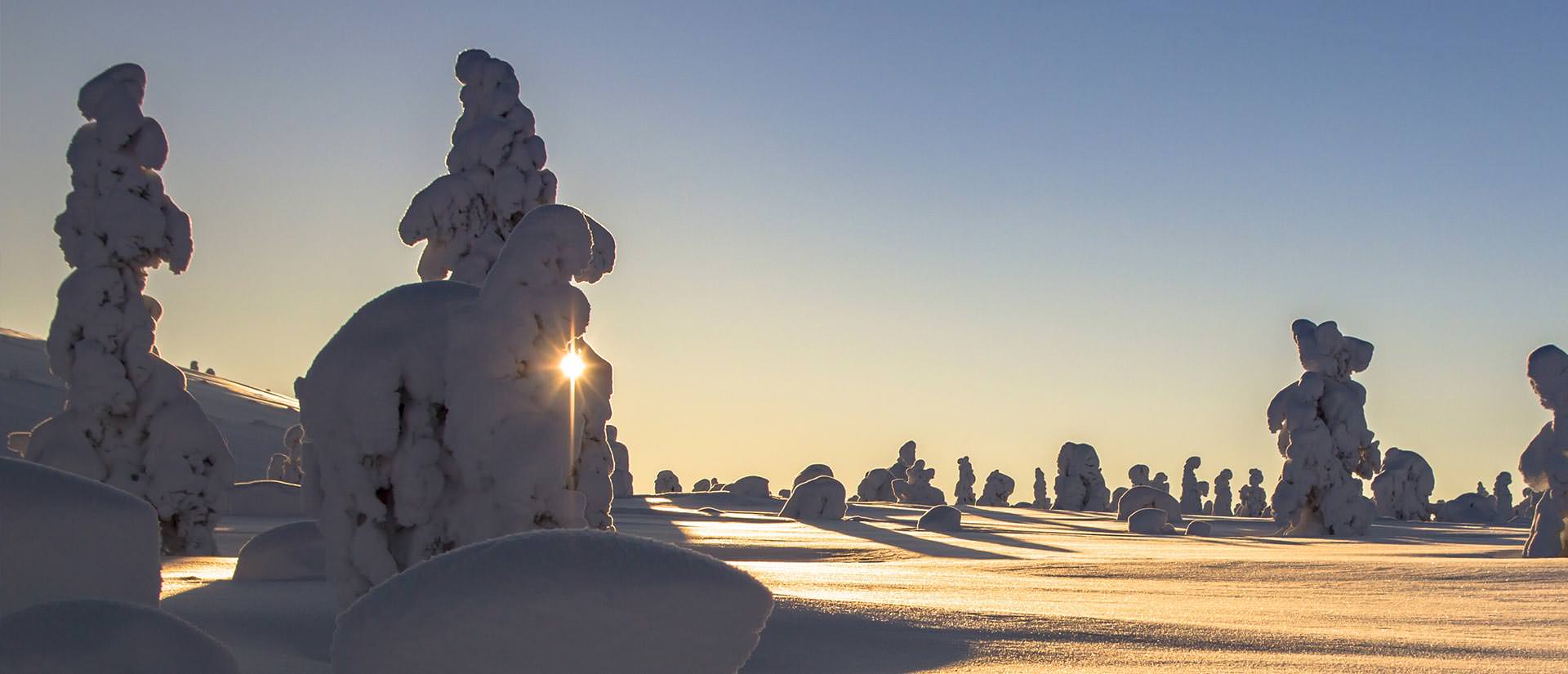 יעדים קרובים לטיול בעונה הקרה