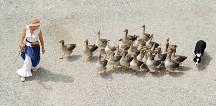 טיול מאורגן עם החברה הגיאוגרפית - למי זה מתאים?