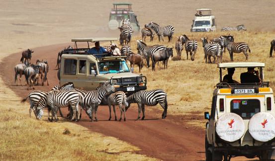 ספארי באפריקה עם החברה הגיאוגרפית