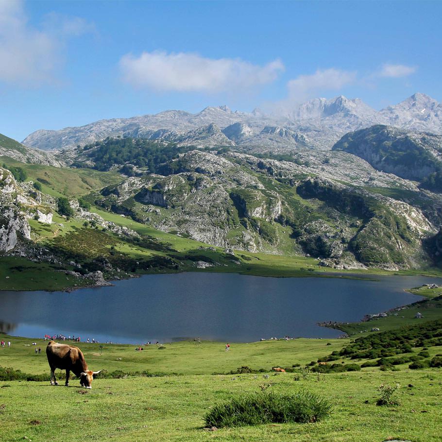 טיול מאורגן לצפון ספרד והפירנאים