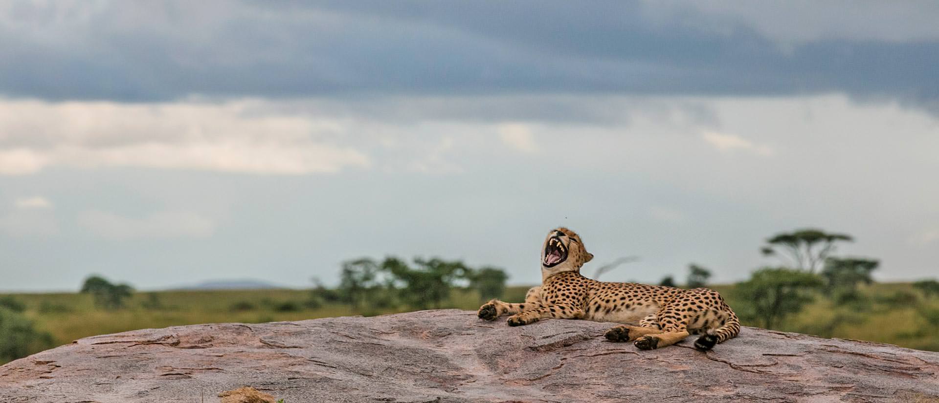 עשרה דברים מעניינים שכדאי לדעת על טנזניה