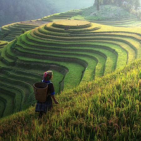 טיול לויאטנם, קמבודיה, לאוס ובנגקוק - 16 יום - בעקבות עמים ותרבויות לאורך נהר המקונג