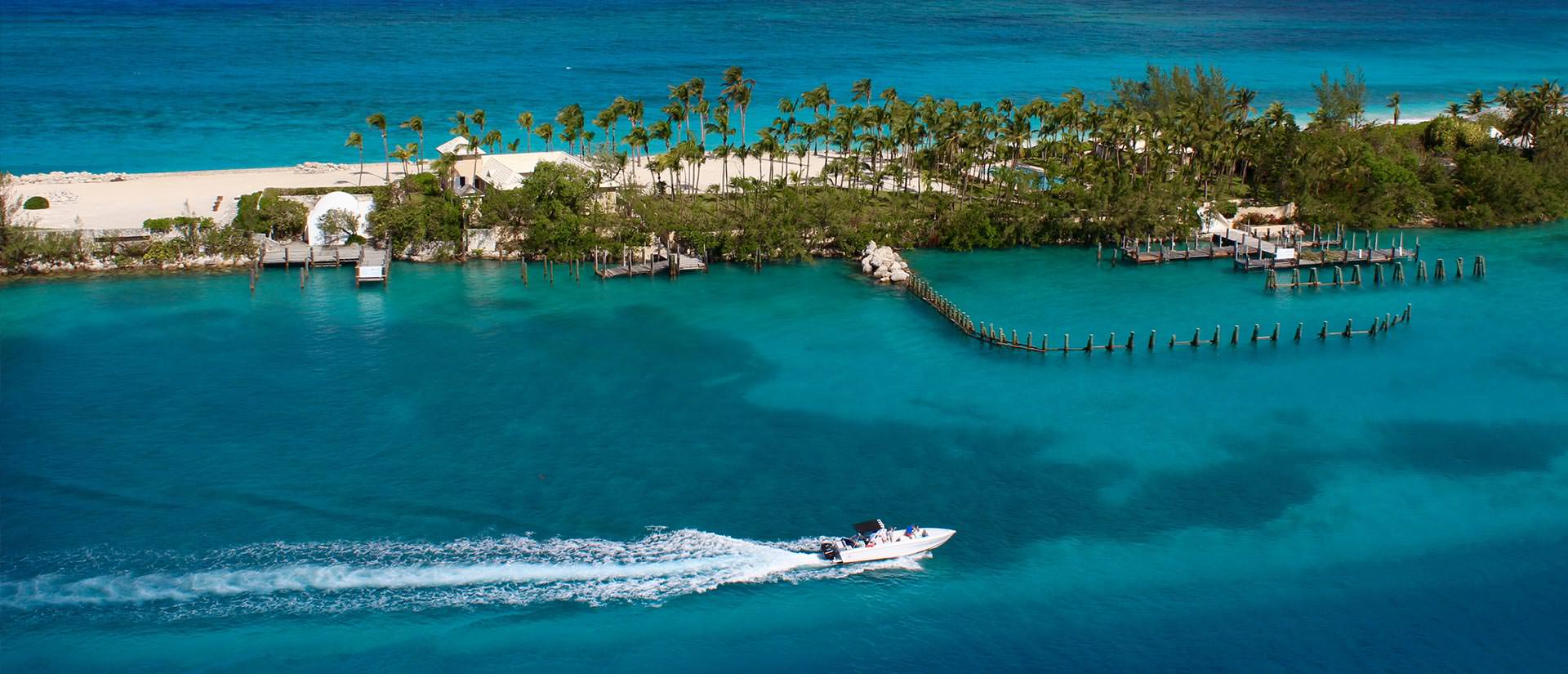 ספארי צלילה באיי הבהאמס - 9 ימים - כולל טייגר ביץ', דולפיני בר ועוד