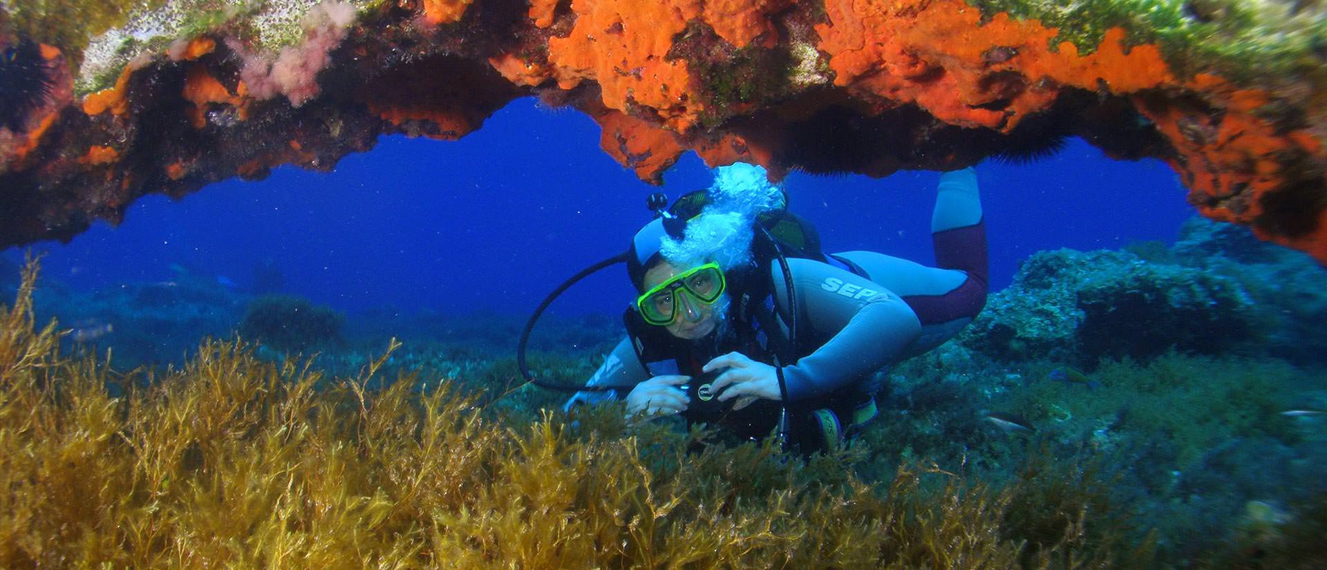 ספארי צלילה במלטה - 5 ימים - מלטה מלמטה
