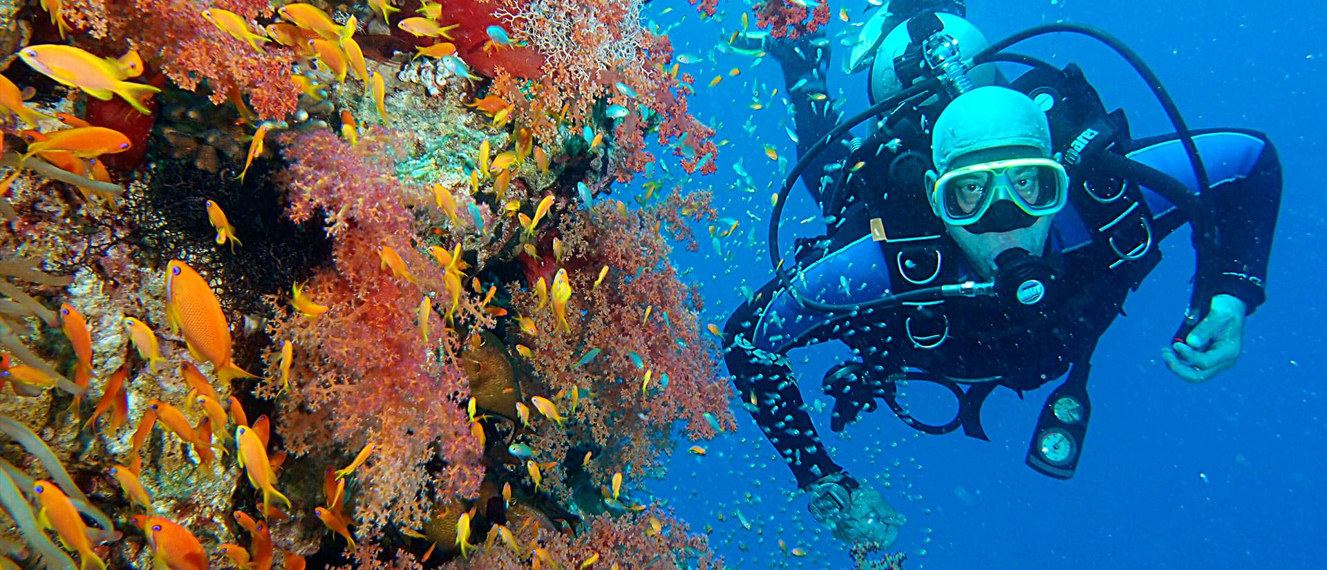 ספארי צלילה בירדן - 3 ימים - עקבה וואדי רם