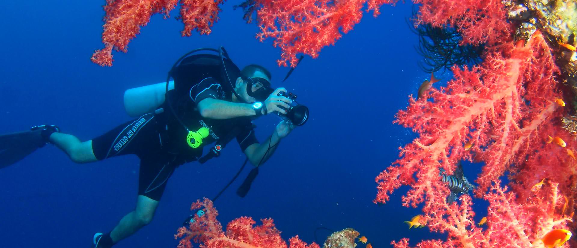 ספארי צלילה בירדן וביקור בפטרה - 4 ימים - מהים האדום אל הסלע האדום