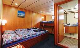 Sea Bird - חדר עם מיטה זוגית + מיטת יחיד | Sea Bird