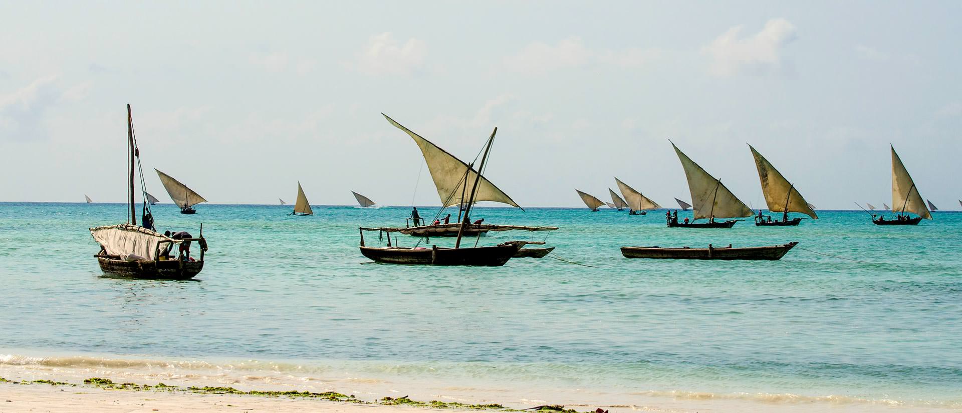 ספארי צלילה בזנזיבר – 9 ימים – צלילה באי התבלינים