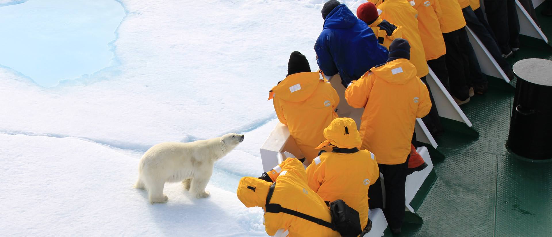 7 סיבות טובות להגשמת חלום השייט הגיאוגרפי