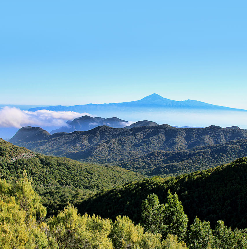 האיים הקנריים