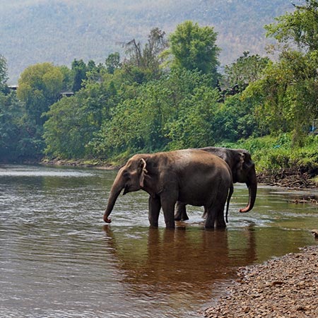 סמינר מטייל בלאוס - 13 יום - ''ממלכת מליון הפילים''