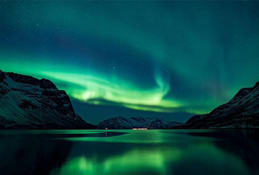 ספארי צלילה בנורבגיה - בעקבות לוויתנים קטנים