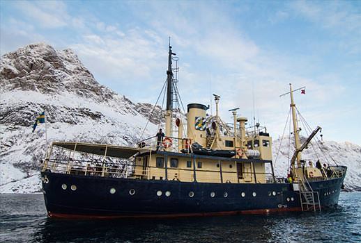 ספארי צלילה בנורבגיה - בעקבות לוויתנים קטנים