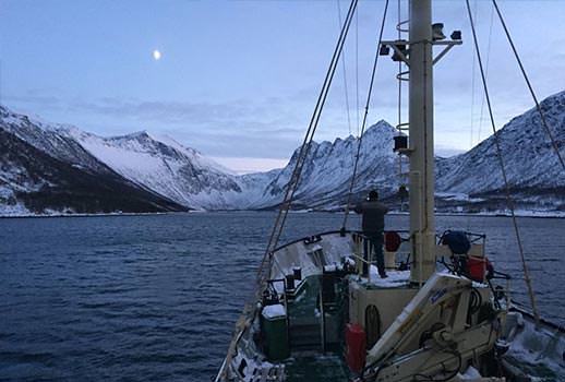 ספארי צלילה בנורבגיה - בעקבות לוויתנים קטנים