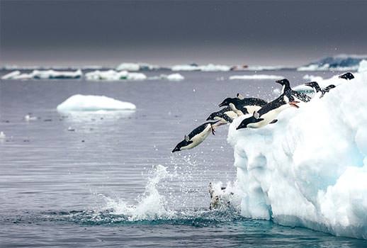 טיול שייט לאנטארקטיקה | צילום: Quark Expeditions