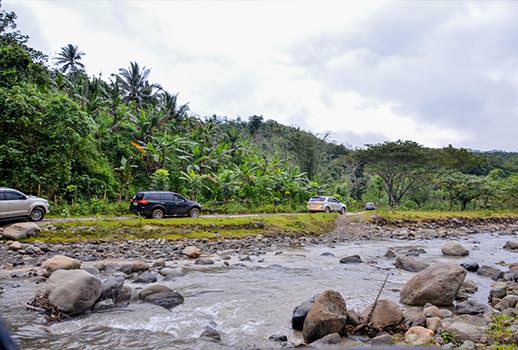 מלכת המדבר בפיליפינים | צילום: יואב גולן
