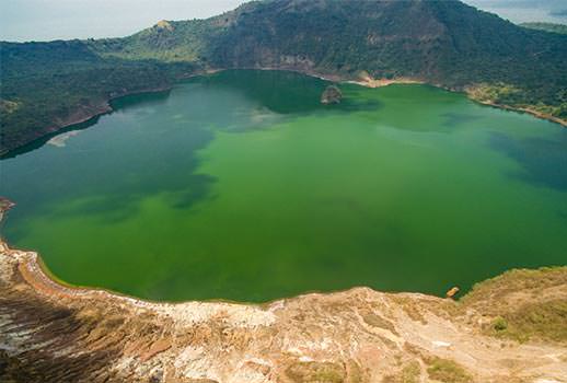 מלכת המדבר בפיליפינים | צילום: יואב גולן