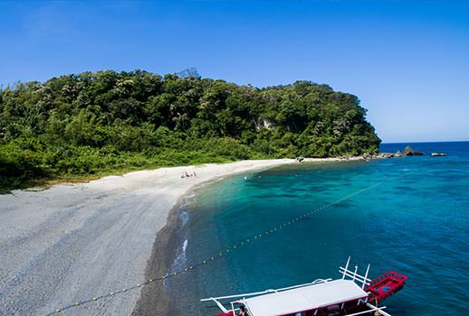 מלכת המדבר בפיליפינים | צילום: יואב גולן