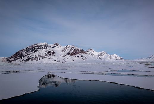 טיול שייט לשפיצברגן